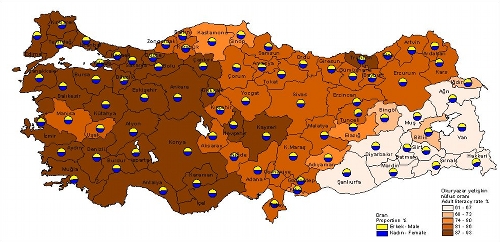 Карта распределения уровня грамотности в
 Турции