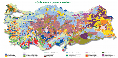 Карта почв Турции